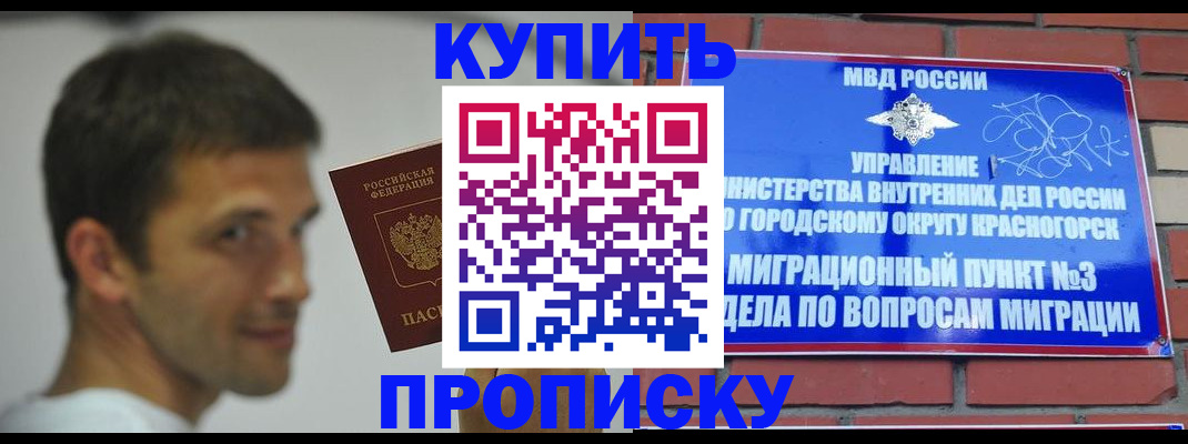 временная регистрация 2025 в Ельне